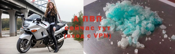 твердый Богданович