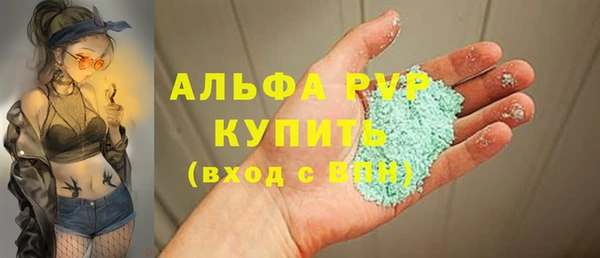 твердый Богданович