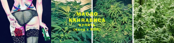 твердый Богданович