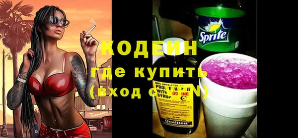 эйфоретик Ельня